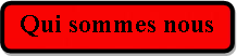 Rectangle  coins arrondis: Qui sommes nous
